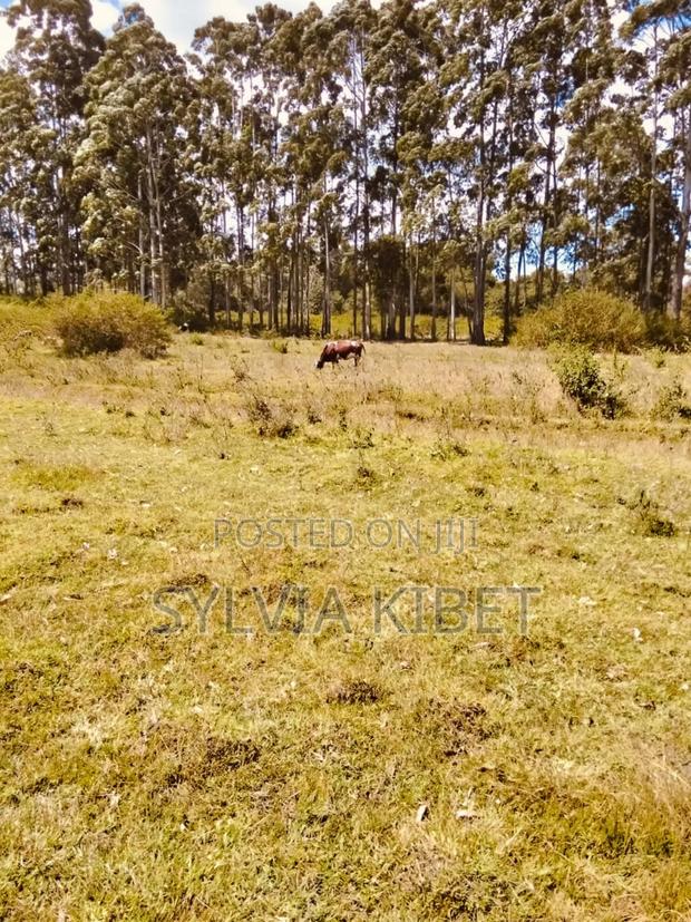 Plots for Sale in Kitale - thumbnail 7
