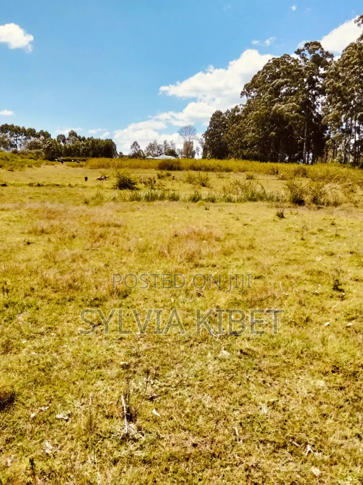 Plots for Sale in Kitale