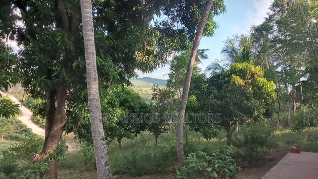 1.1 Acre Land in Gongoni Vipingo - thumbnail 4