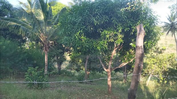 1.1 Acre Land in Gongoni Vipingo - thumbnail 5