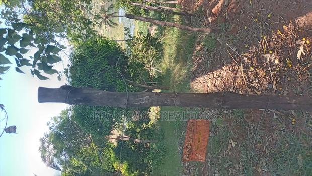 1.1 Acre Land in Gongoni Vipingo - thumbnail 6