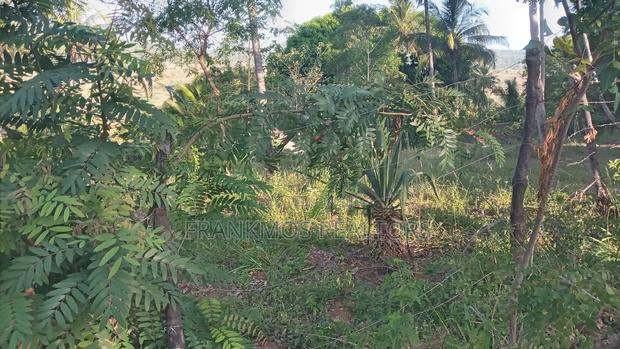 1.1 Acre Land in Gongoni Vipingo - thumbnail 9