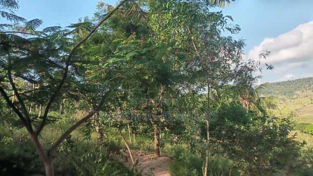 1.1 Acre Land in Gongoni Vipingo - thumbnail 10