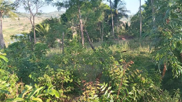 1.1 Acre Land in Gongoni Vipingo - thumbnail 12