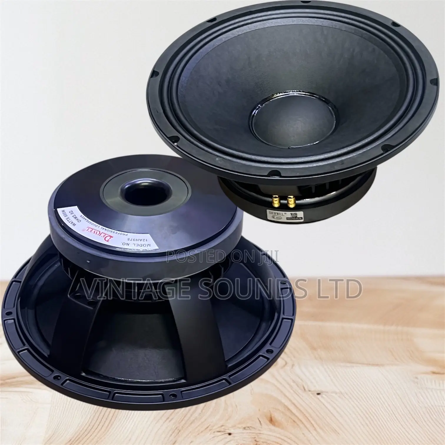 Derwel 12ah975-12” Lond Speaker (600watts )
