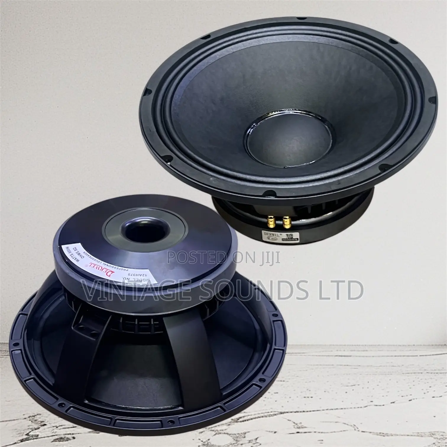 Derwel 12ah975 12inch Loud Speaker (75.5mm Coil )