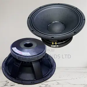 Derwel 12ah975 12inch Loud Speaker (75.5mm Coil )