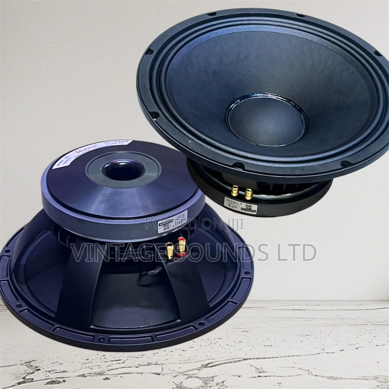 Derwel 12ah975 Series 75.5 Mm Professional Speaker