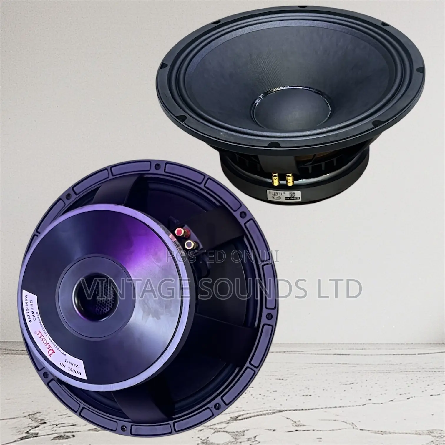 Derwel 12 Inches 12ah975 Loud Speaker 75.5 Mm
