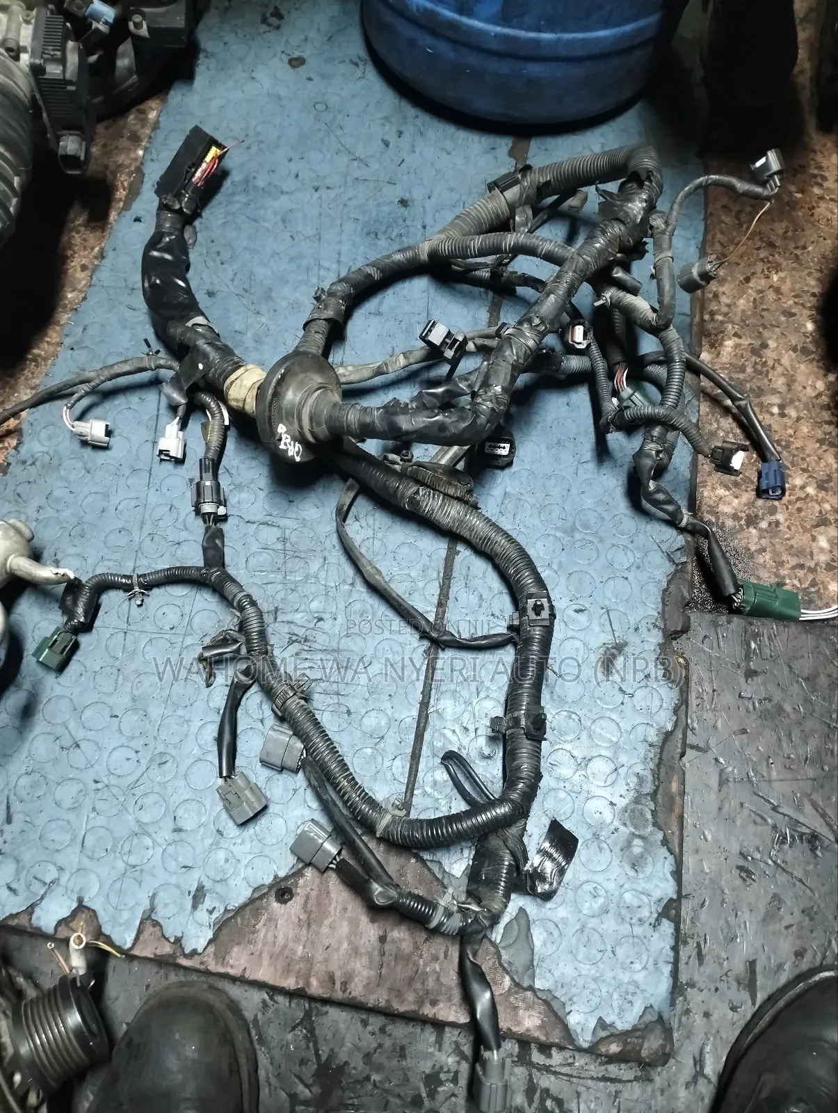 Harness Qr20 Nissan Extrail