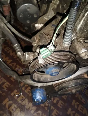Nissan Murano Qr25 Cartillage/Power Steering