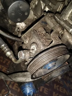 Nissan Murano Qr25 Cartillage/Power Steering