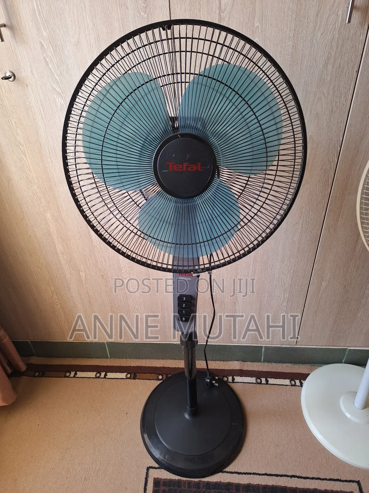 House or Office Fan