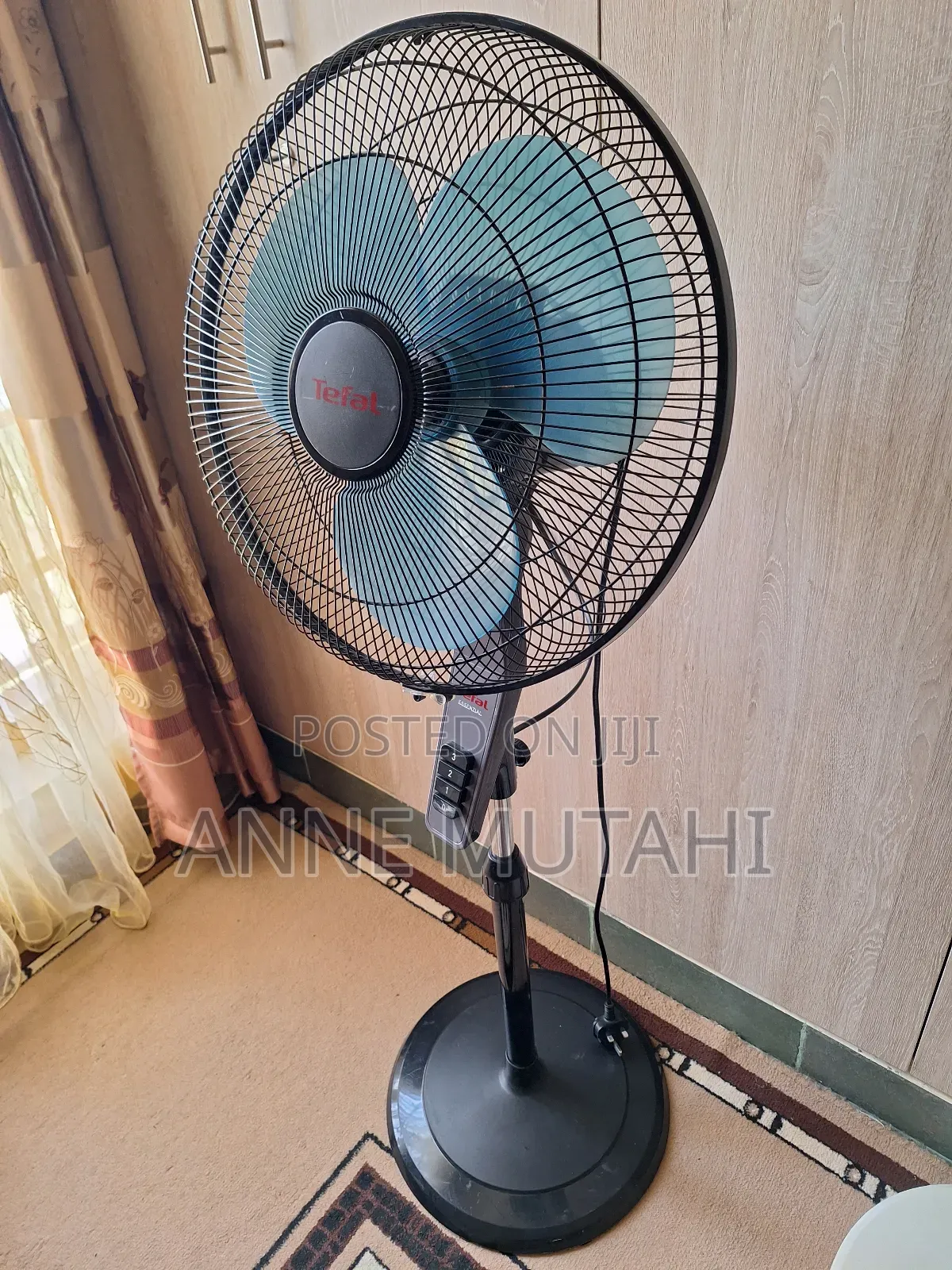 House or Office Fan
