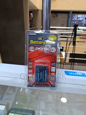 Digital Battery Pack for DMW Blc12 Battery