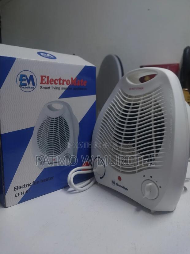 Electromate Fan With Cooling and Heating Effect - main view