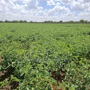 Freed Hold Title Deed of 39.75 Acres in Kajiado East