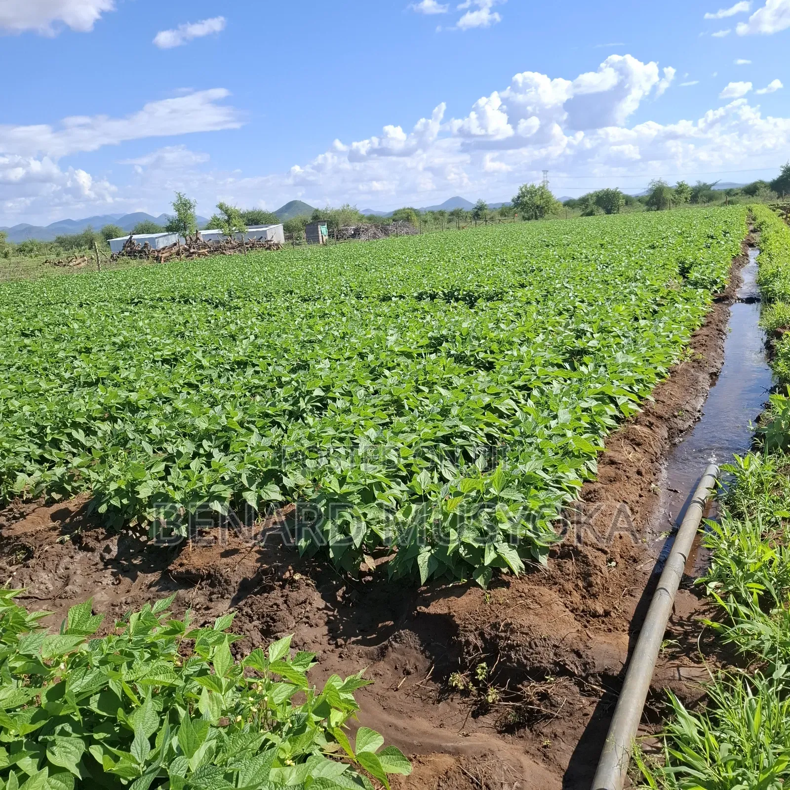 Freed Hold Title Deed of 39.75 Acres in Kajiado East