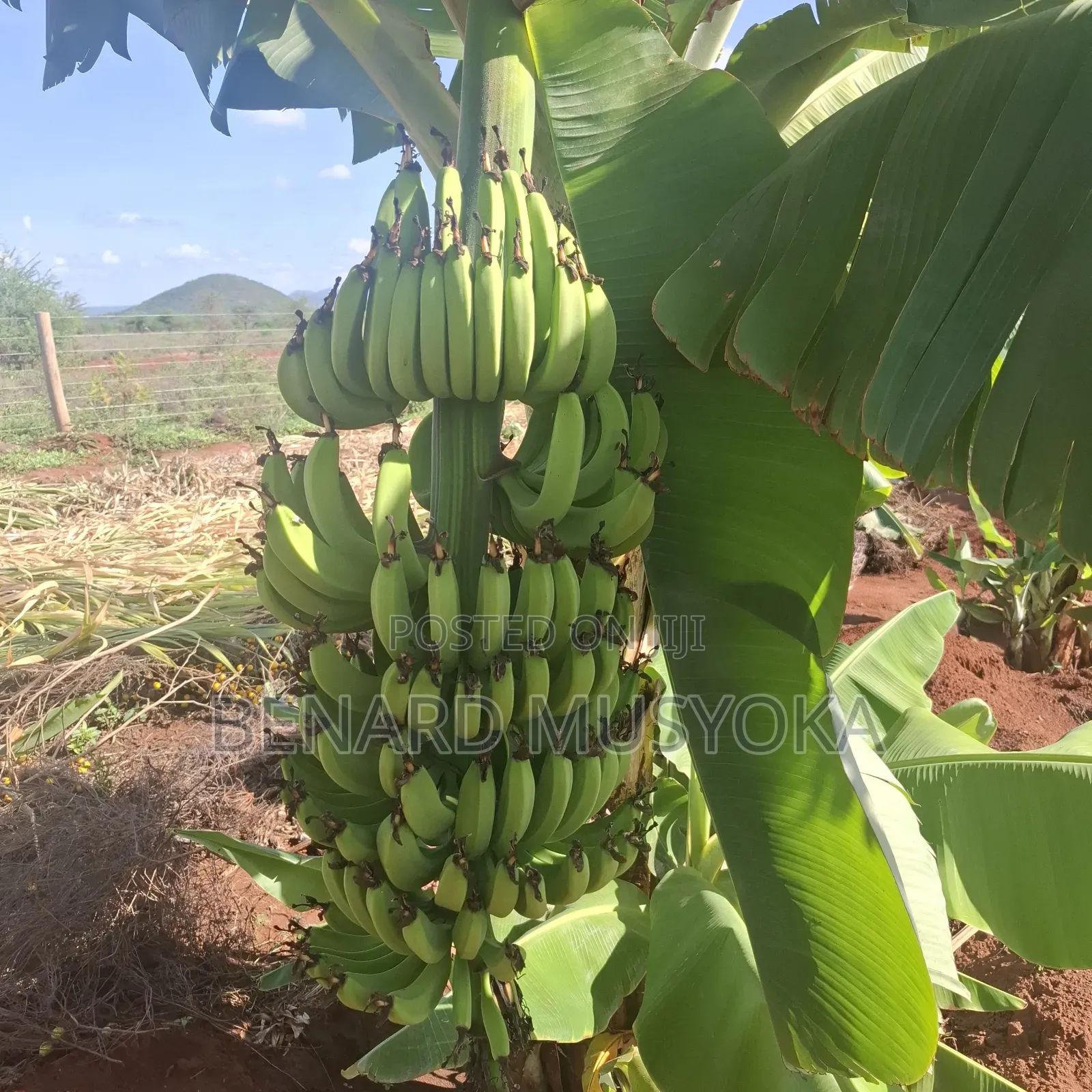Freed Hold Title Deed of 39.75 Acres in Kajiado East