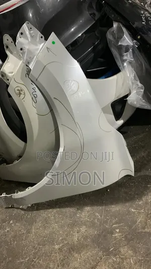 Volkswagen Wing/Fenders