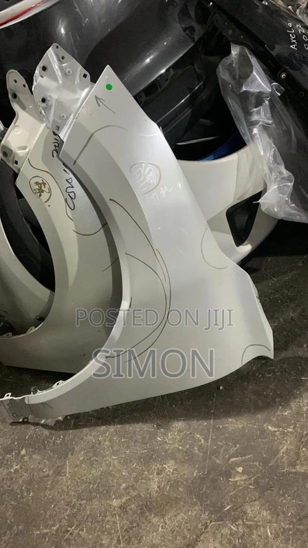 Volkswagen Wing/Fenders
