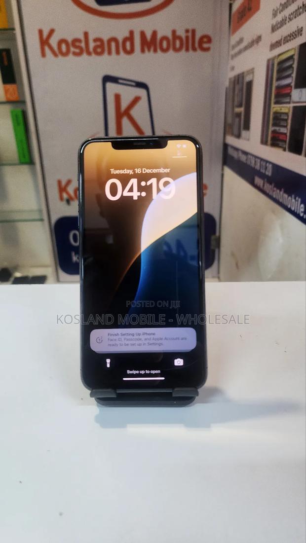 Apple iPhone 11 Pro Max 256 GB Gray - main view