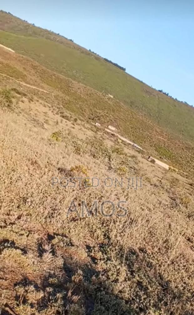 5acres Block Ndeiya Nguirubi in Limuru - thumbnail 2