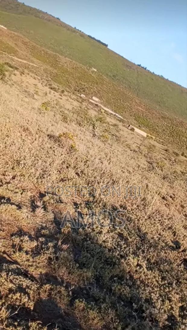5acres Block Ndeiya Nguirubi in Limuru - thumbnail 4