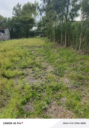 100 by 100 at Koma - thumbnail 2