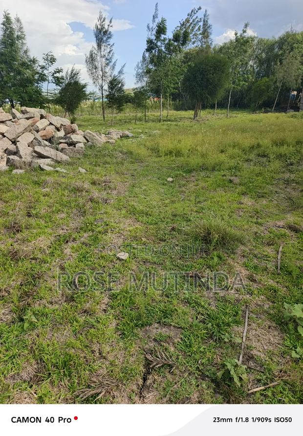 100 by 100 at Koma - thumbnail 3