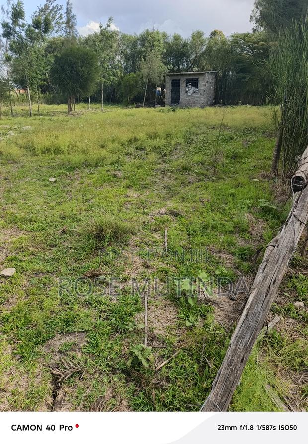 100 by 100 at Koma - thumbnail 4