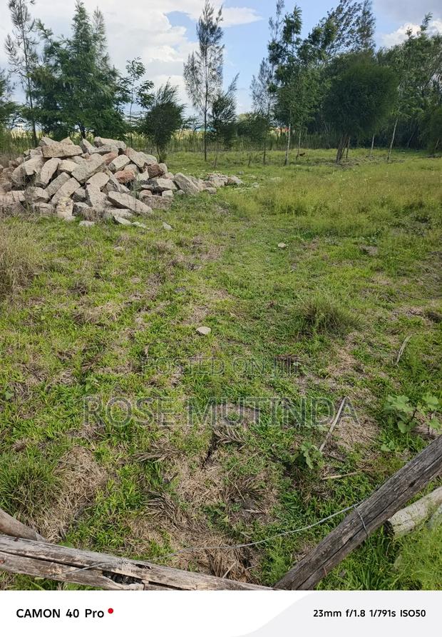 100 by 100 at Koma - thumbnail 5