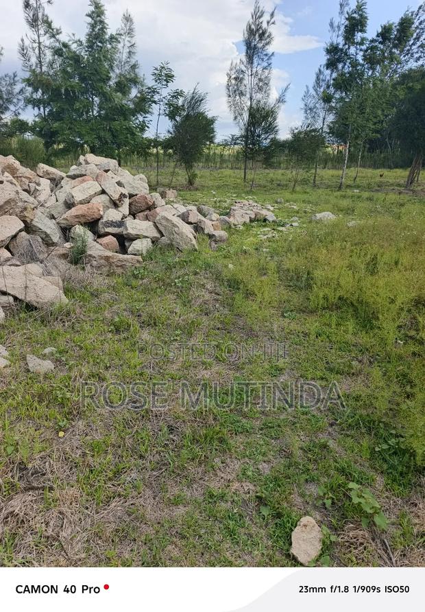 100 by 100 at Koma - thumbnail 6