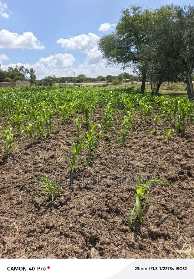 50 by 100 at Koma - main view