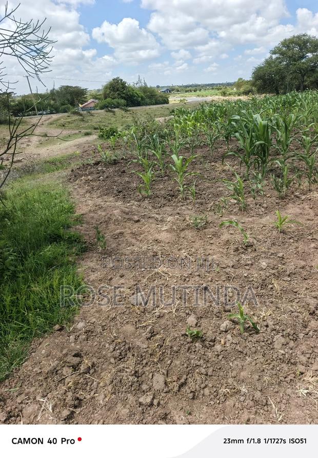 50 by 100 at Koma - thumbnail 3