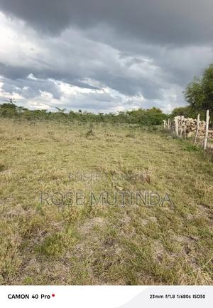 50 by 100 at Koma - thumbnail 2