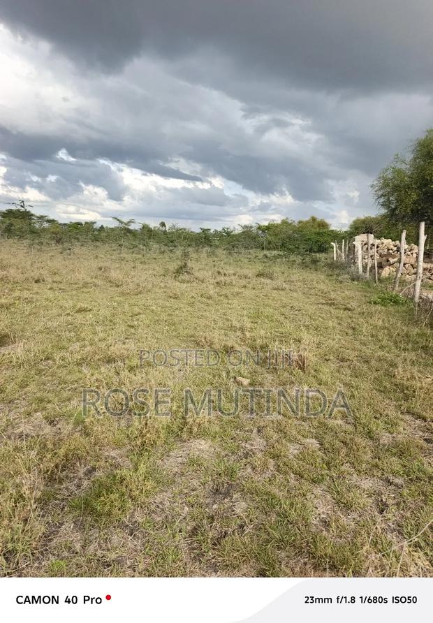 50 by 100 at Koma - main view