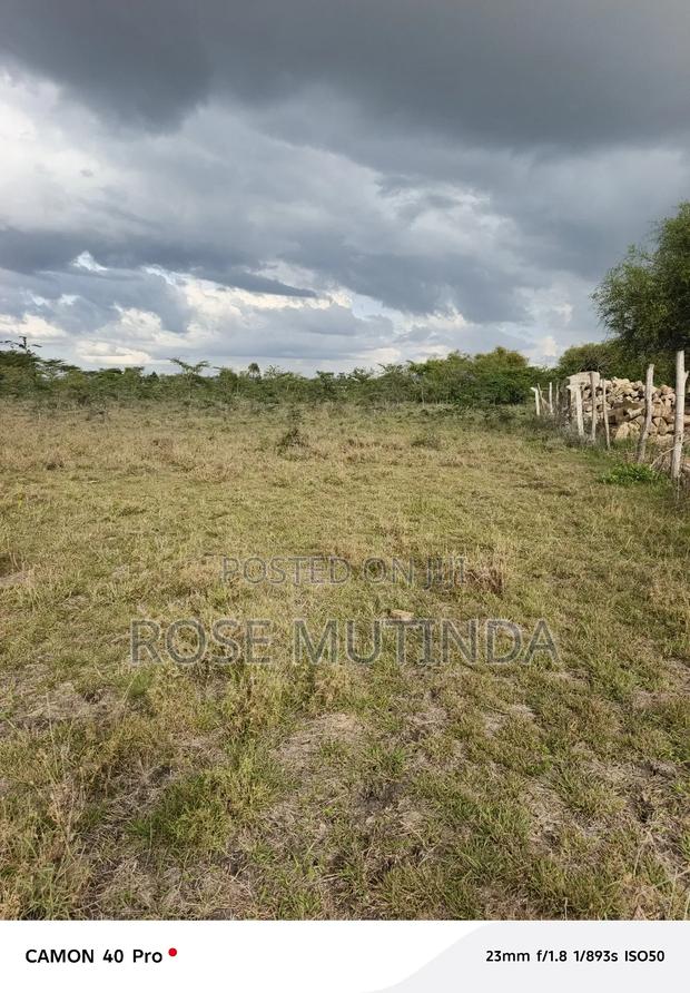 50 by 100 at Koma - thumbnail 3