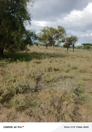 50 by 100 at Koma