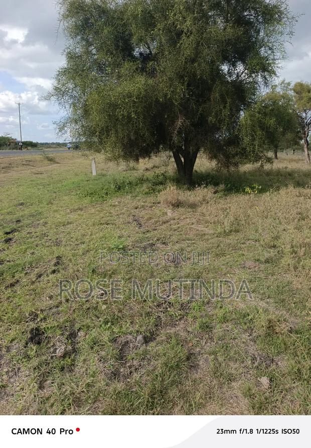 50 by 100 at Koma - thumbnail 5