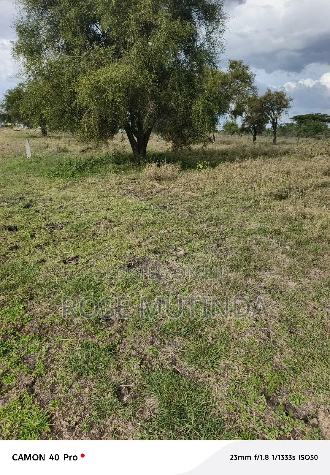 50 by 100 at Koma