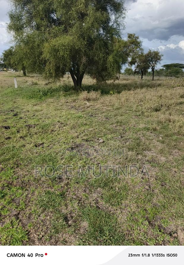 50 by 100 at Koma - thumbnail 6