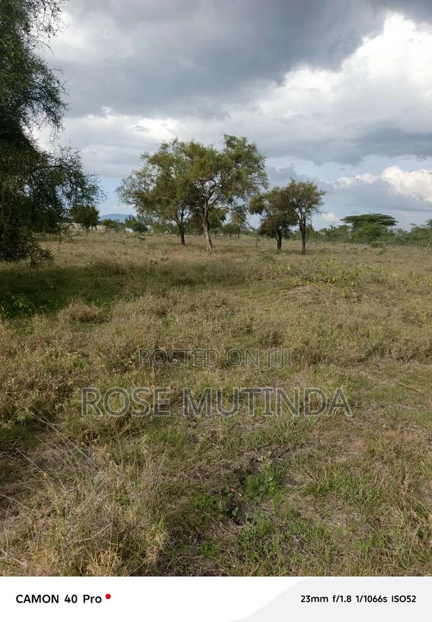 50 by 100 at Koma - thumbnail 7