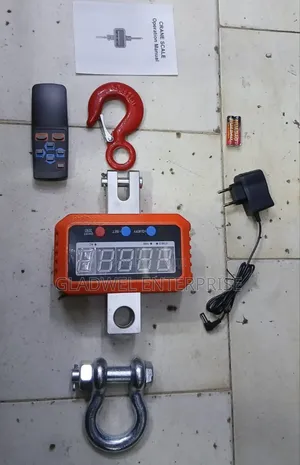1000kg Clane Scale Digital With Remote Control/1tone