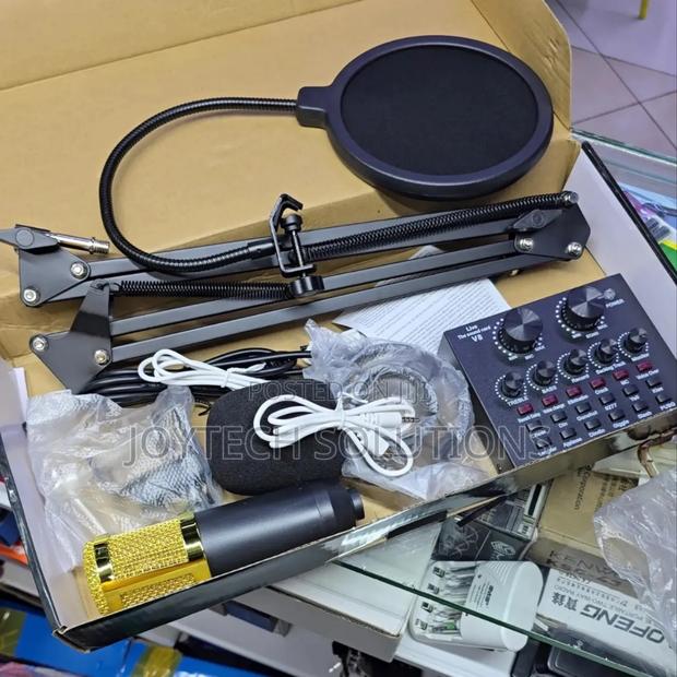 Live Sound Card, Adjustable Condenser Mic