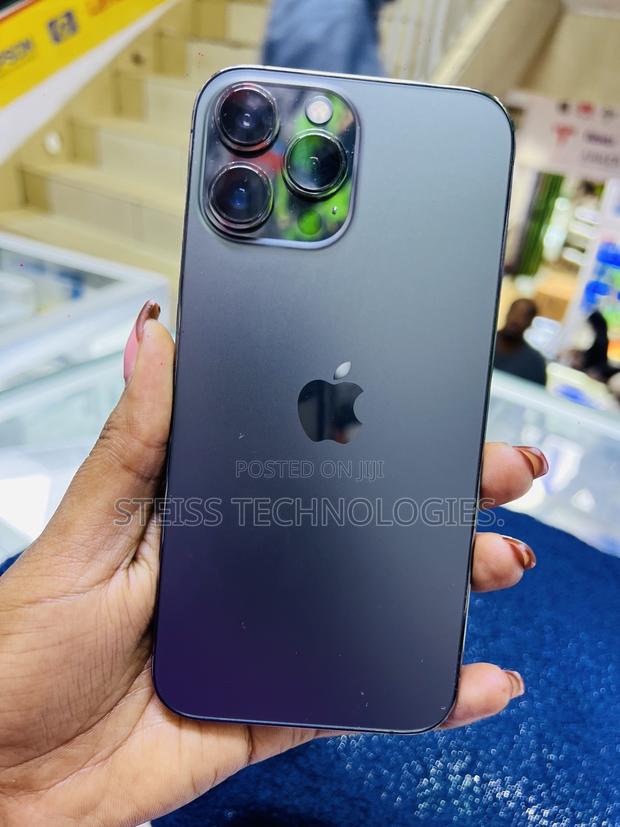 Apple iPhone 13 Pro Max 256 GB Gray - thumbnail 5