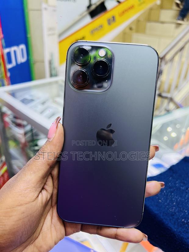 Apple iPhone 13 Pro Max 256 GB Gray - thumbnail 8