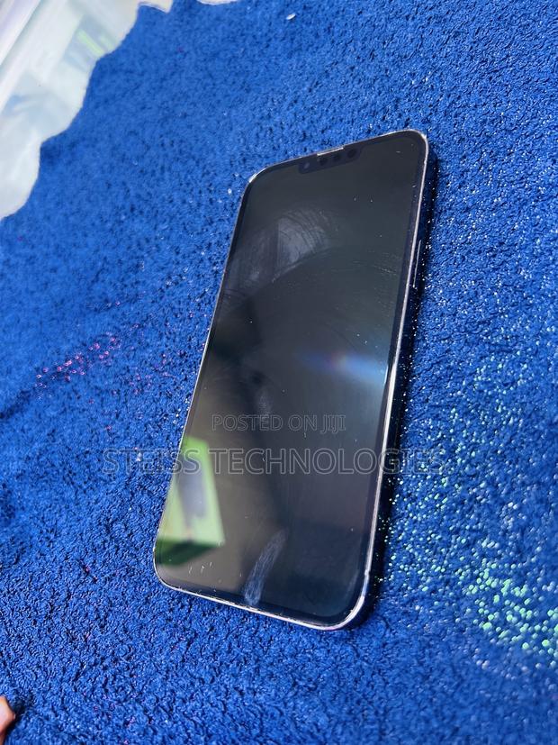 Apple iPhone 13 Pro Max 256 GB Gray - thumbnail 3