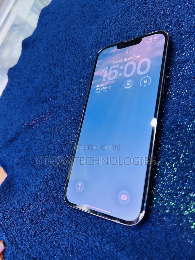 Apple iPhone 13 Pro Max 256 GB Gray - thumbnail 6