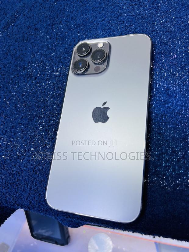 Apple iPhone 13 Pro Max 256 GB Gray - thumbnail 7